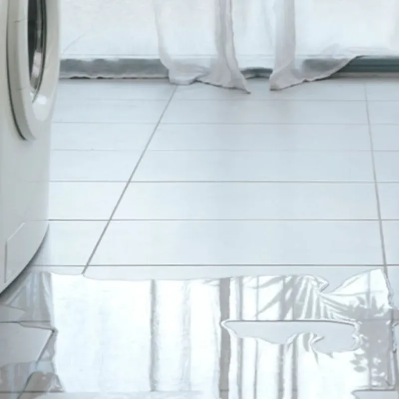 Appliance Leak Cleanup in Blackville, SC
